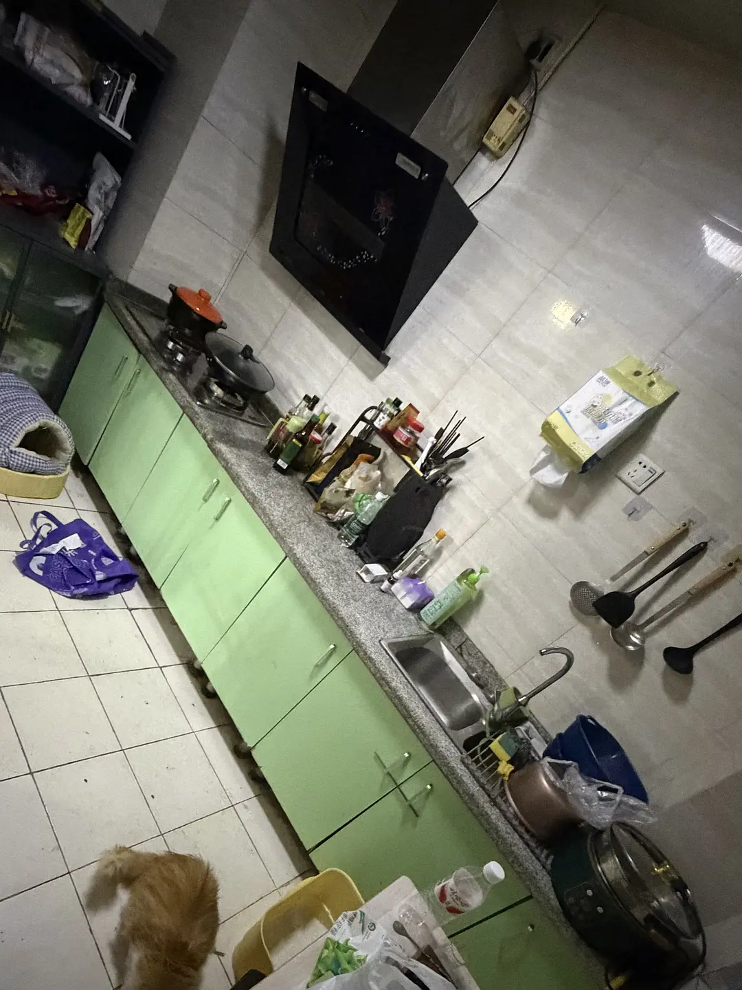 房屋图片 10