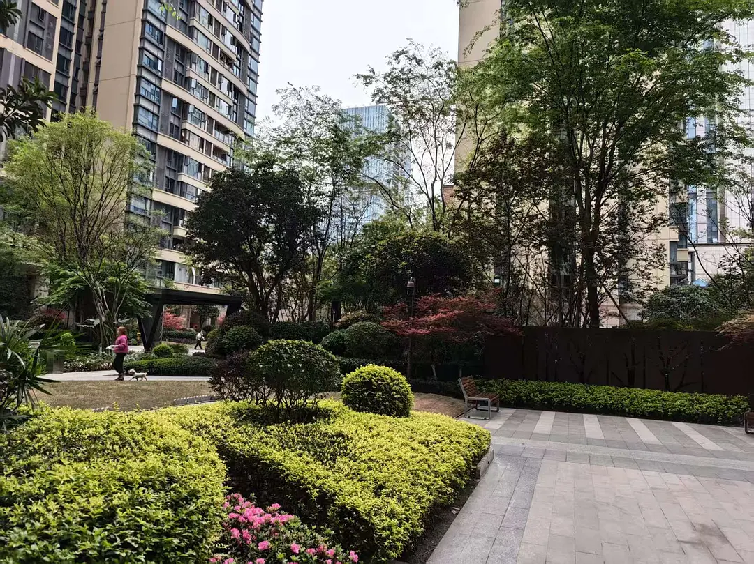 房屋图片 1