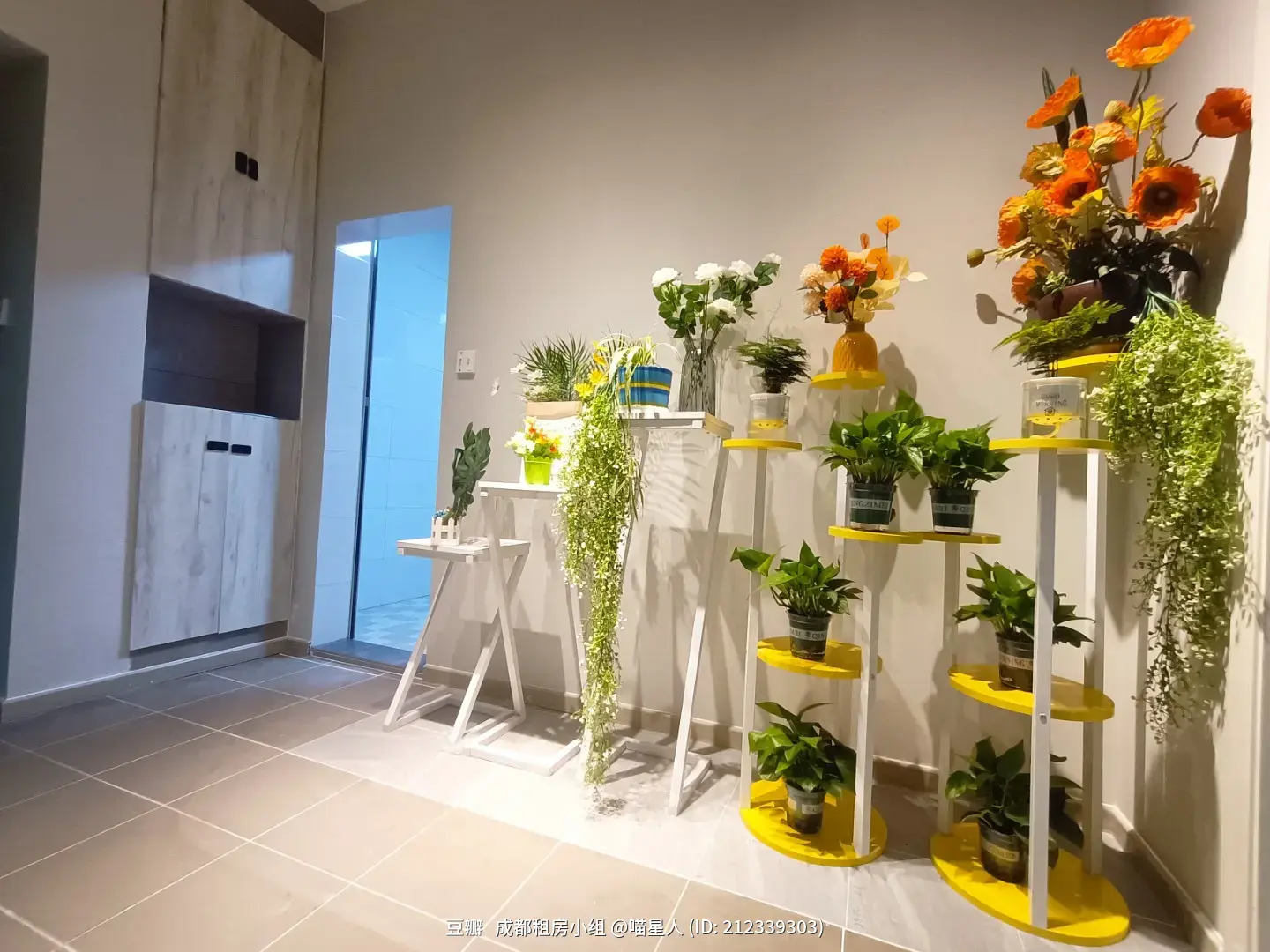房屋图片 6