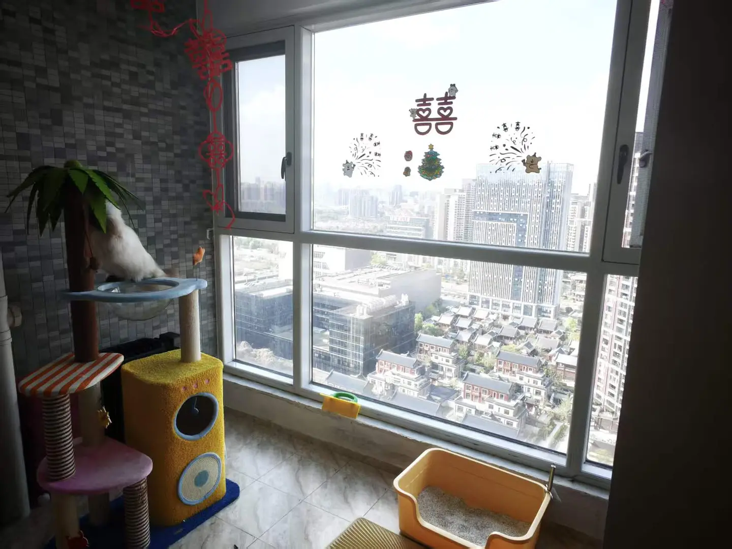 房屋图片 3