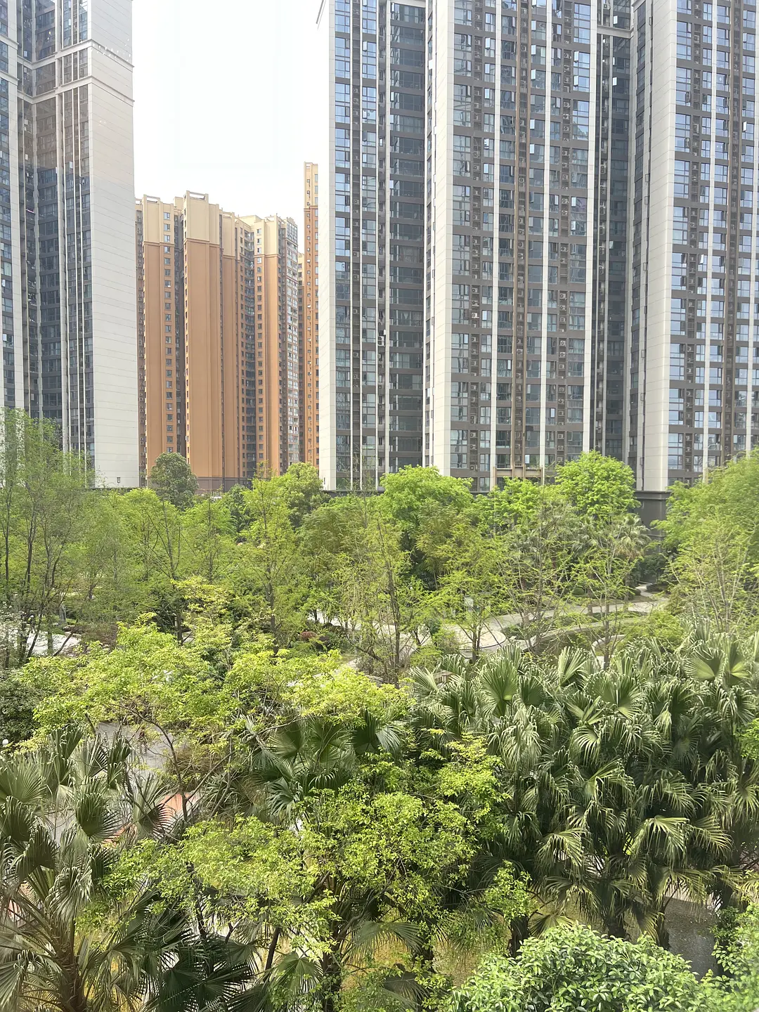 房屋图片 17