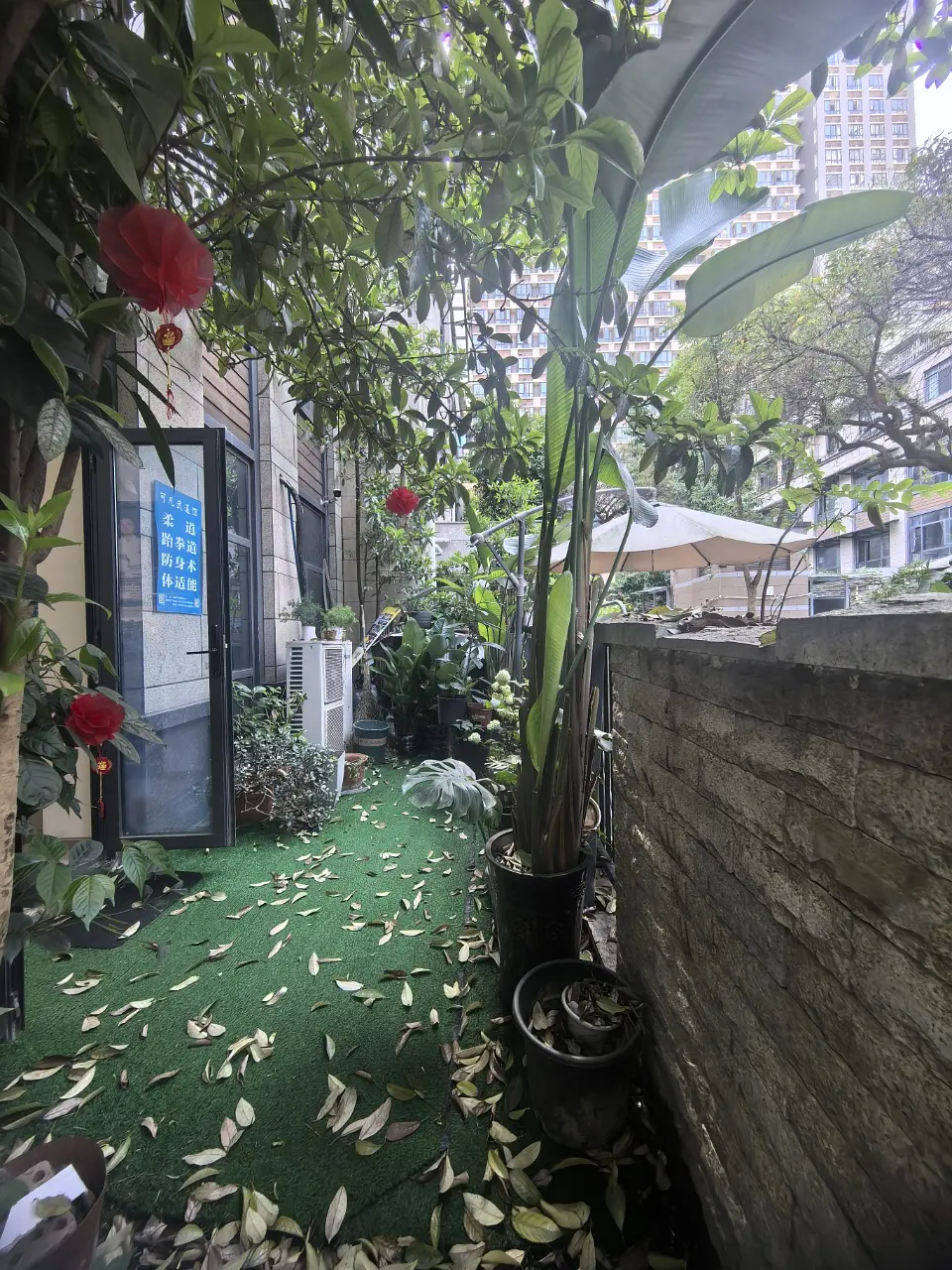 房屋图片 5