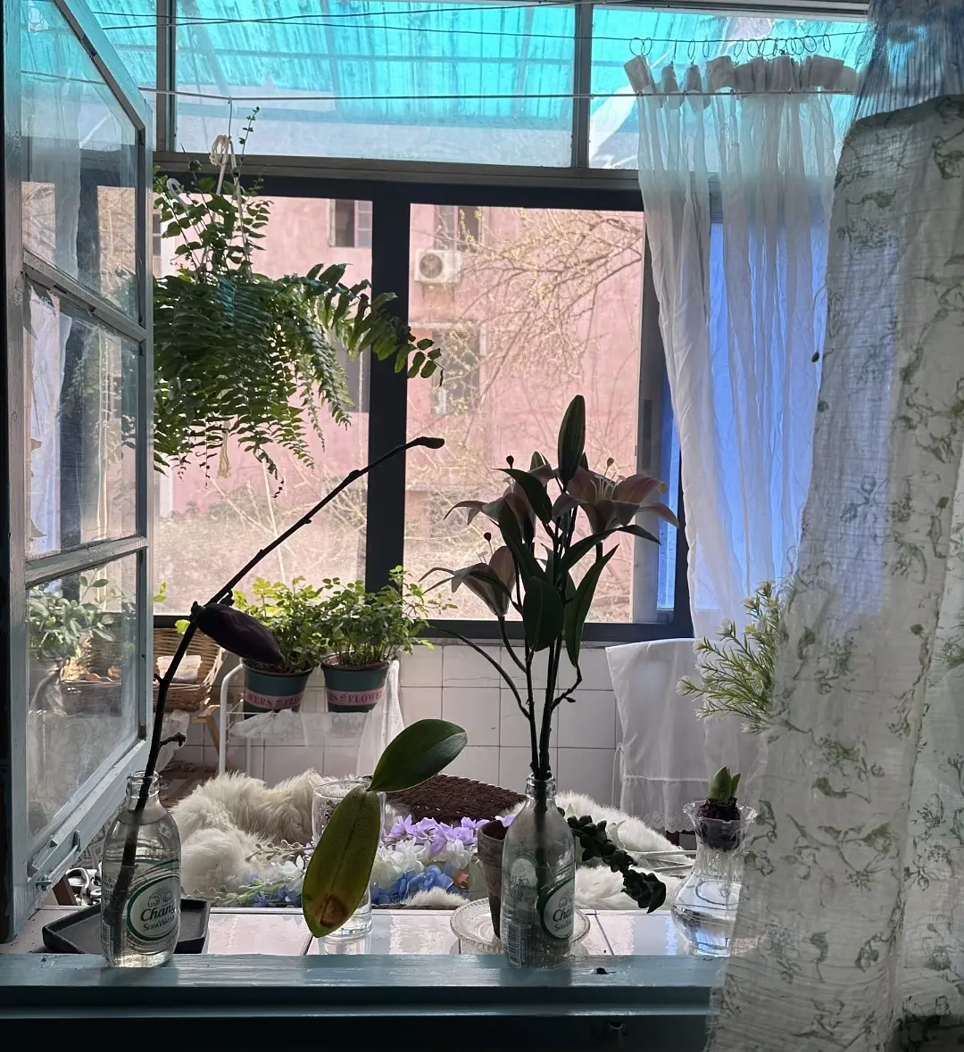 房屋图片 4
