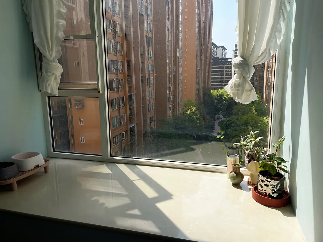 房屋图片 5