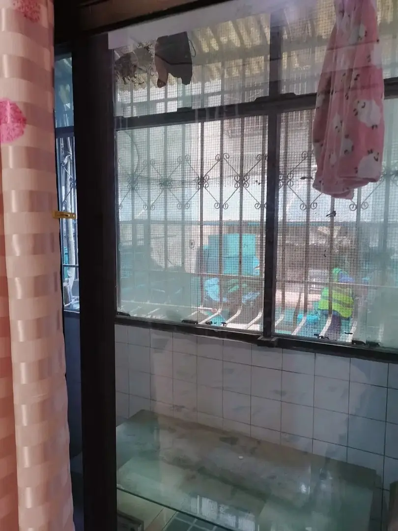 房屋图片 4