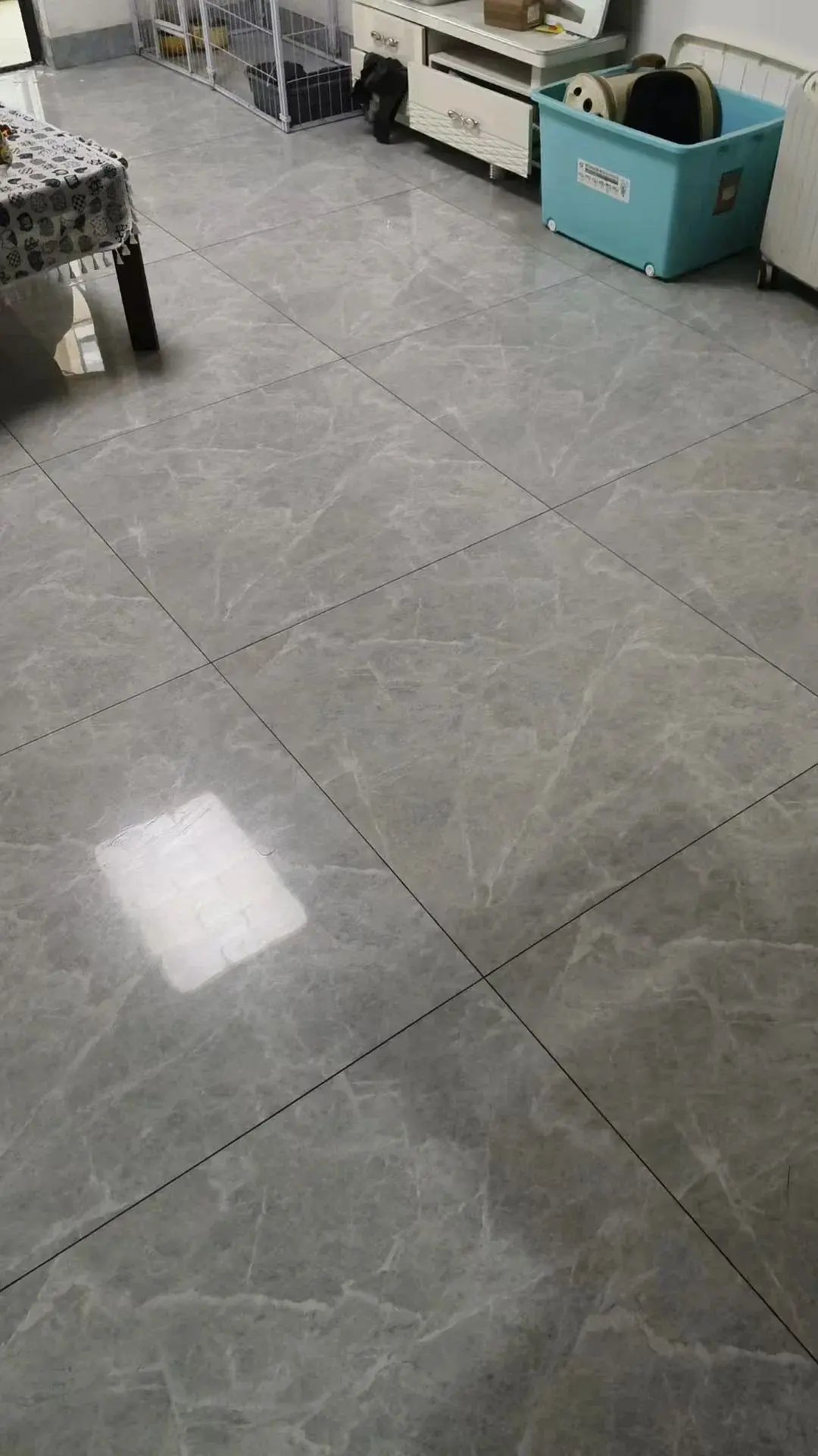房屋图片 3