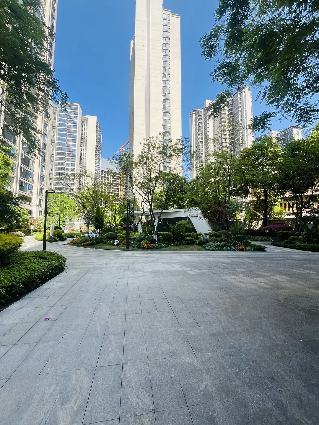 房屋图片 16