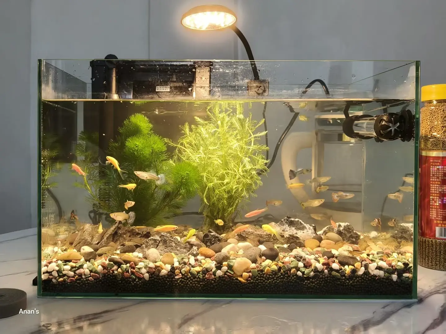 房屋图片 4
