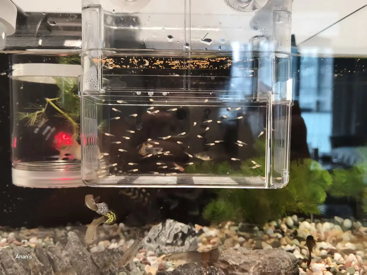 房屋图片 1