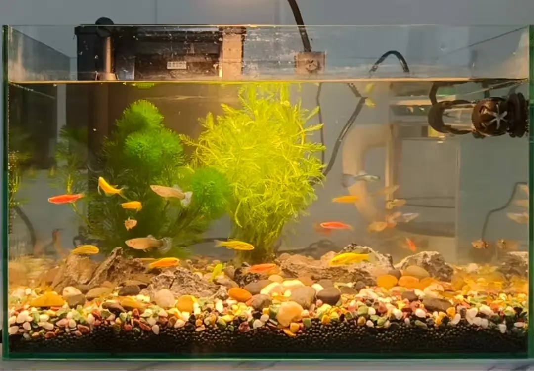 房屋图片 2