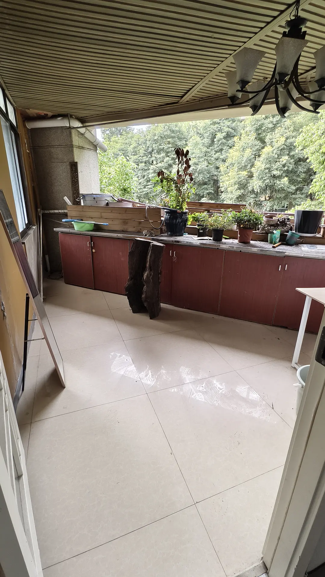 房屋图片 6