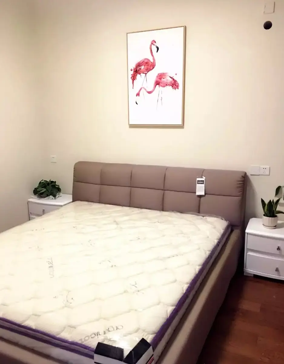 房屋图片 6