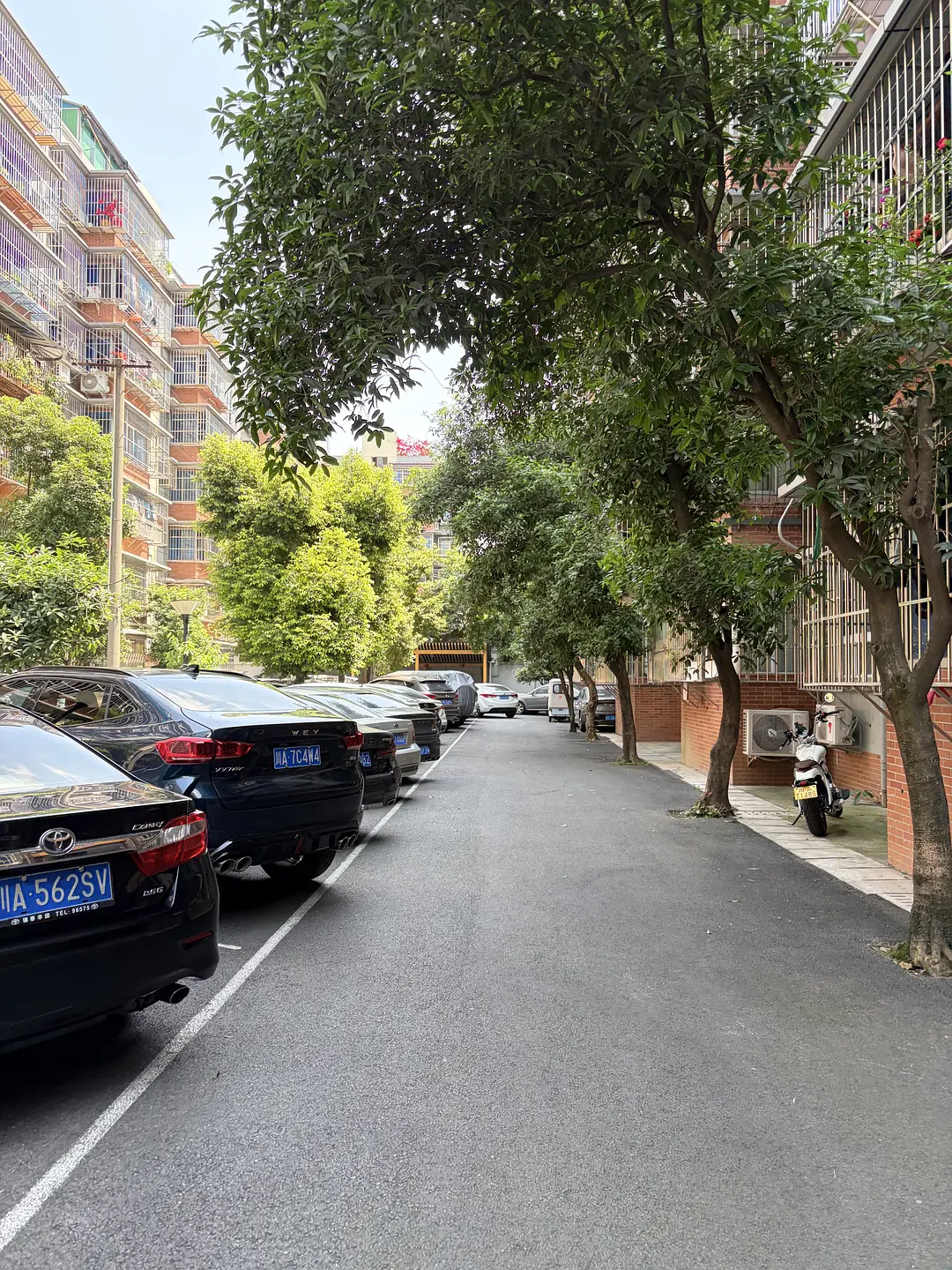 房屋图片 7