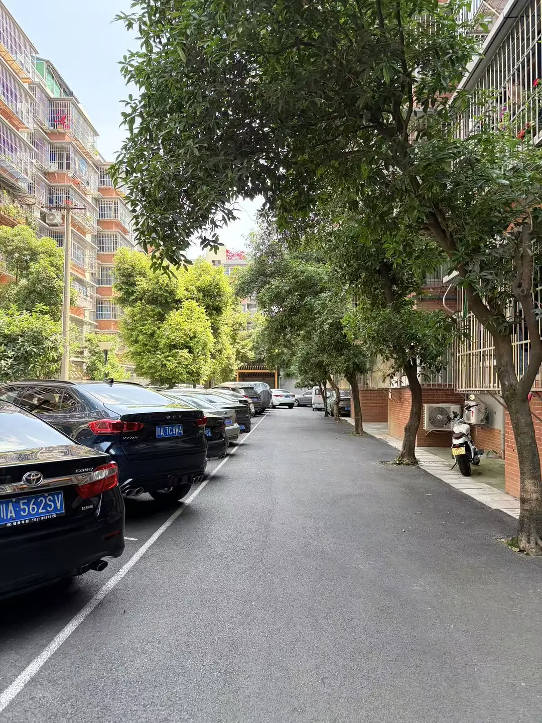 房屋图片 4