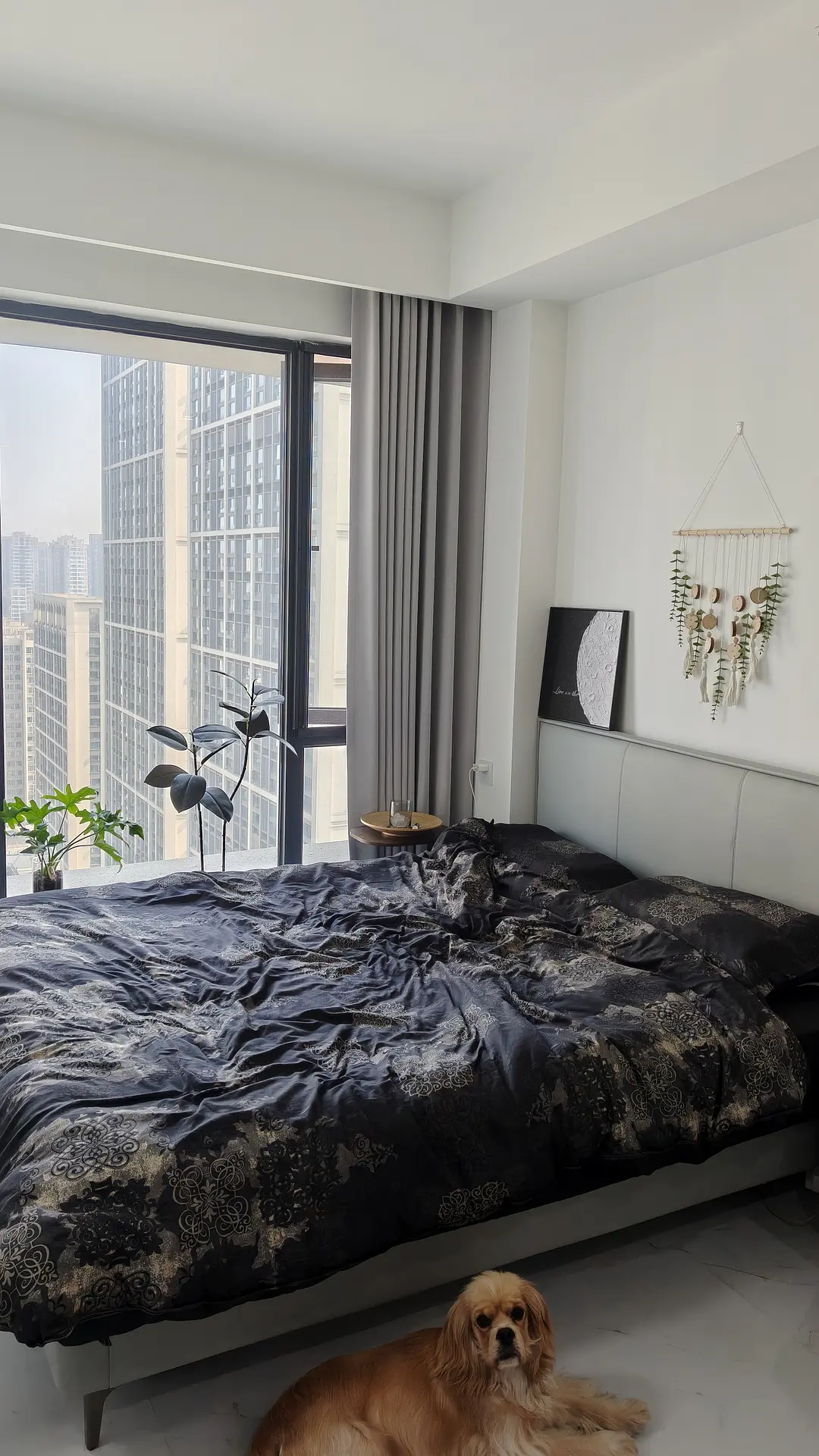 房屋图片 1