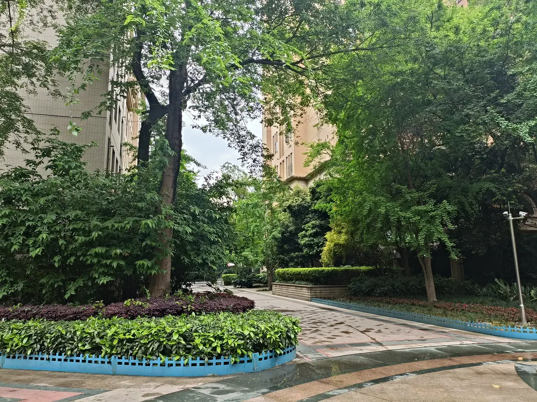 房屋图片 2