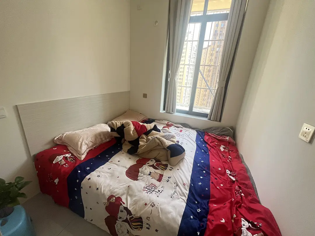 房屋图片 3