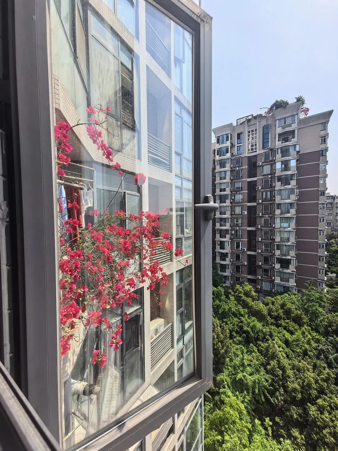 房屋图片 4