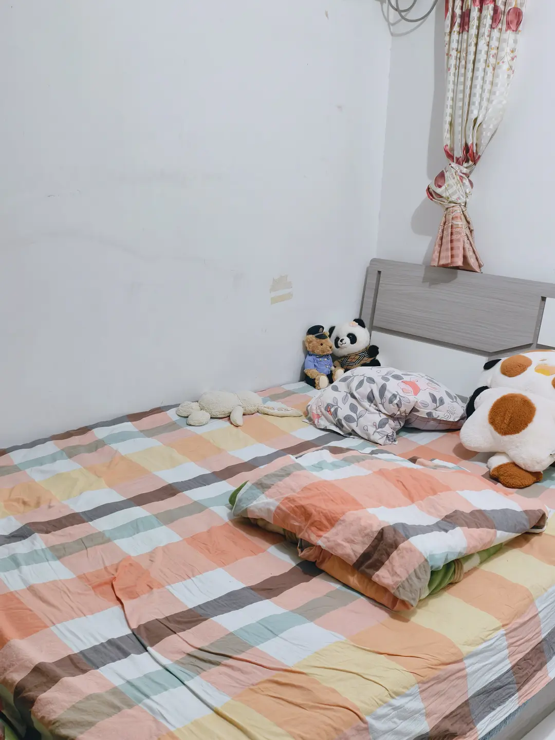房屋图片 1