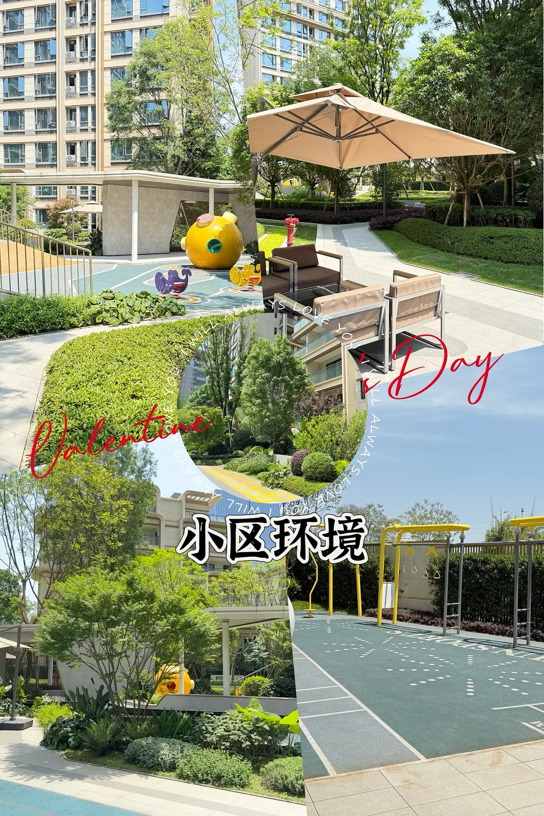 房屋图片 8