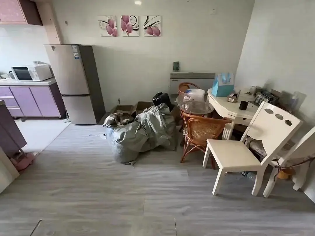 房屋图片 5