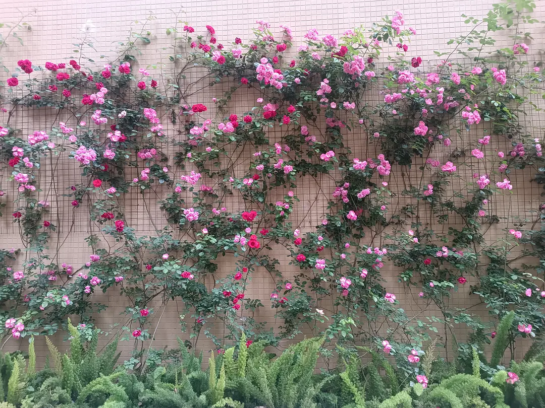 房屋图片 1