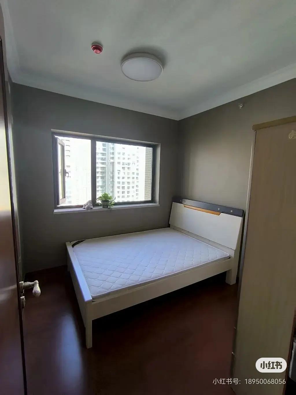 房屋图片 4