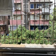 房屋图片 1